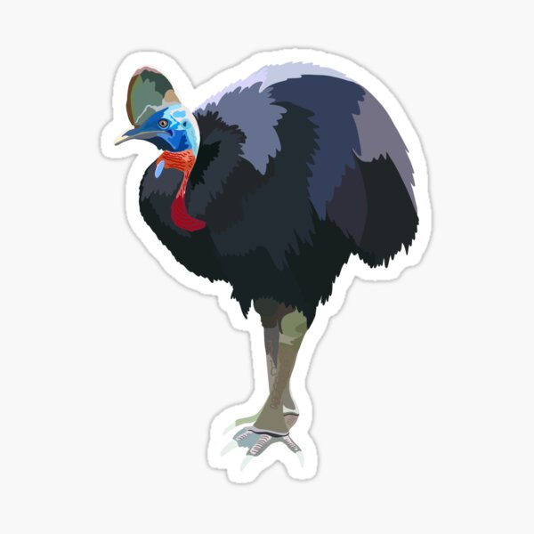 Item preview, C is for Cassowary, Cassowary Artwork – Powerful Flightless Bird Illustration and Tropical Rainforest Wildlife Design designed and sold by PrettylittlepastelUk.