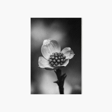 Black and White Flower 7 Art Board Print