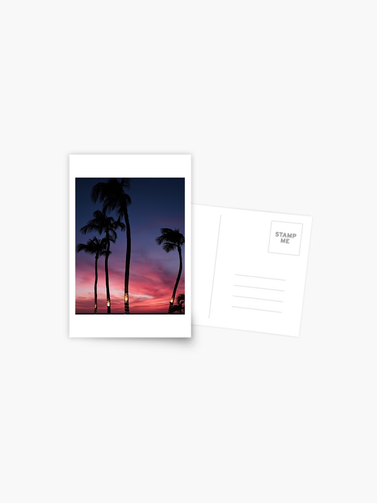 Postal «Hermosas palmeras al atardecer moradas y rosas» de newburyboutique  | Redbubble