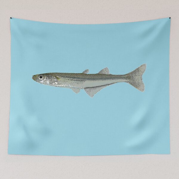 Item preview,  Atlantic Silverside Color Design designed and sold by designsasstultd.