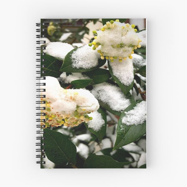 Item preview, Small flowers covered in snow | yellow flowers | Flowers | Snow | Green leaves designed and sold by TatianaLG.