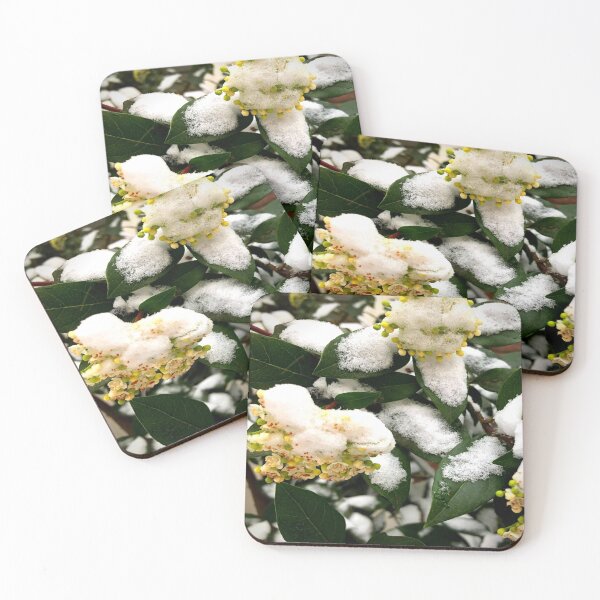 Item preview, Small flowers covered in snow | yellow flowers | Flowers | Snow | Green leaves designed and sold by TatianaLG.