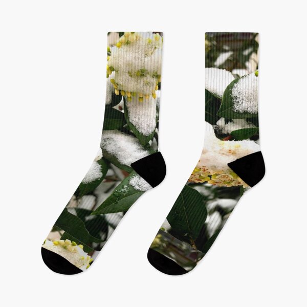 Item preview, Small flowers covered in snow | yellow flowers | Flowers | Snow | Green leaves designed and sold by TatianaLG.