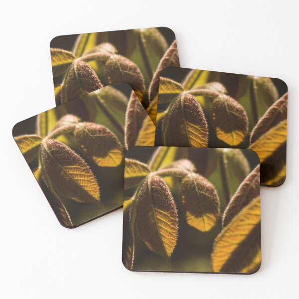 Item preview, Nature 6 designed and sold by rebeccaholbrook.