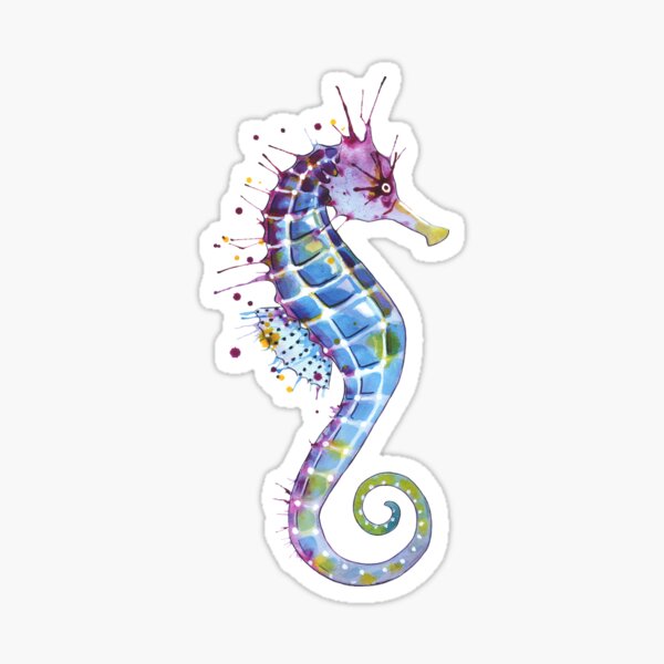 Sea Hummingbird Sticker for Sale by Bioinspirada