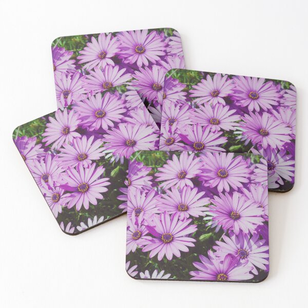 Item preview, Purple african daisies close up designed and sold by CarolinaReina.