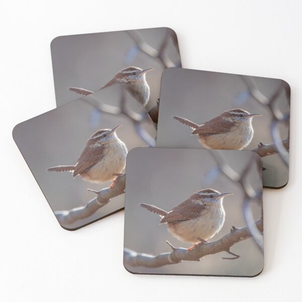 Item preview, Carolina Wren designed and sold by Lauren Rakes.