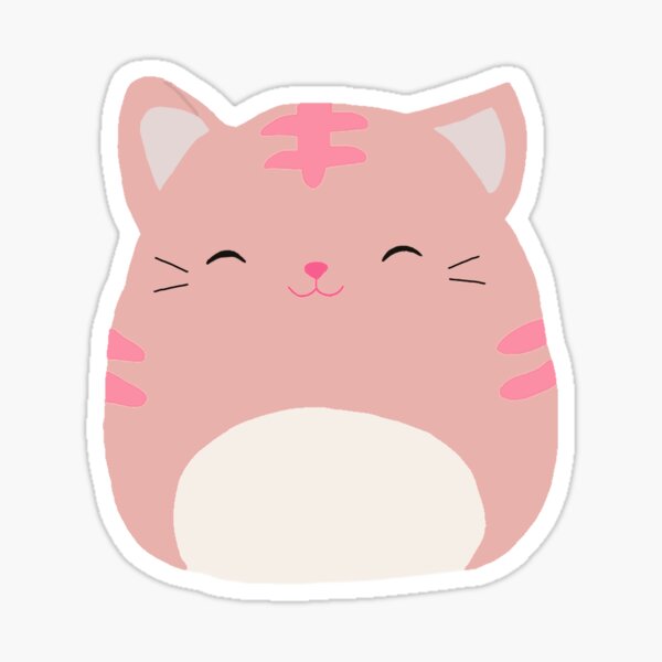 Paulita the Cat Squishmallow\