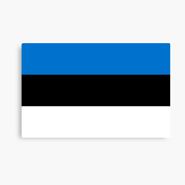 Flag of Estonia Canvas Print