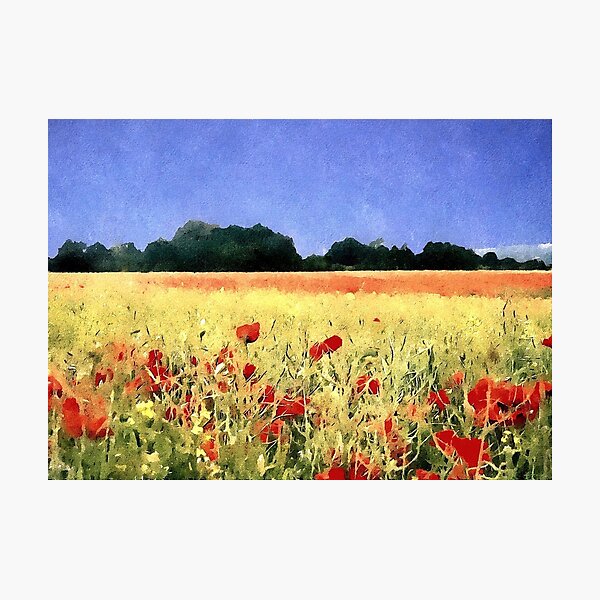Poppy Field Photographic Print