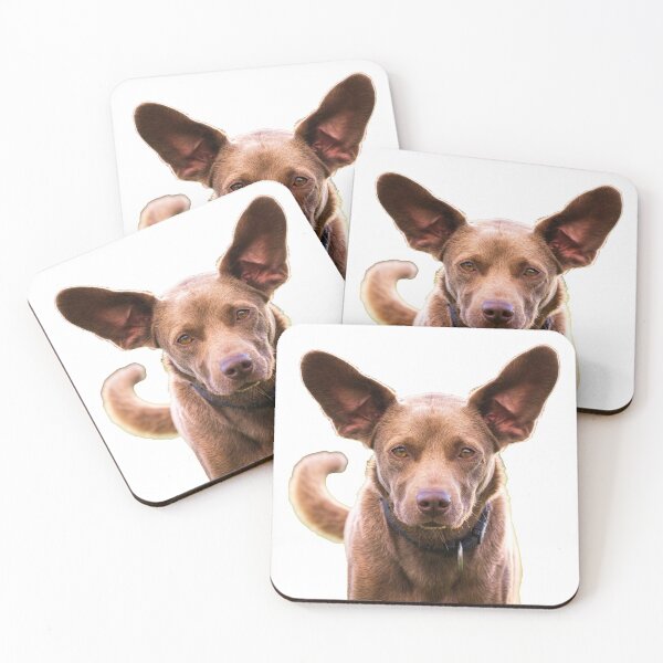 Item preview, Funny and cute brown dog called Eddie. designed and sold by AylaHarbich.