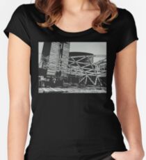 Sculpture Women's Fitted Scoop T-Shirt