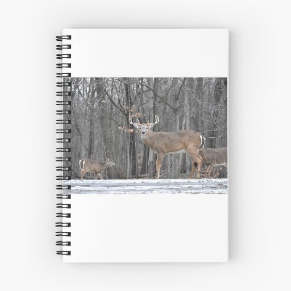 Item preview, Deer at Garret Mountain designed and sold by PennyDesignsArt.