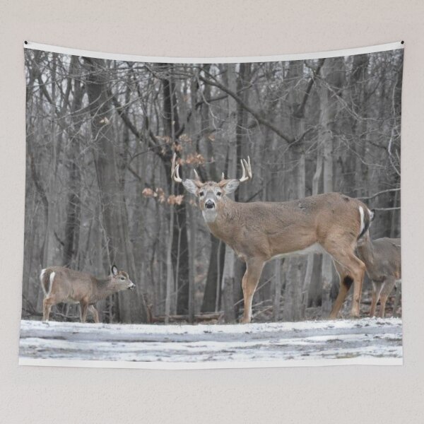 Item preview, Deer at Garret Mountain designed and sold by PennyDesignsArt.