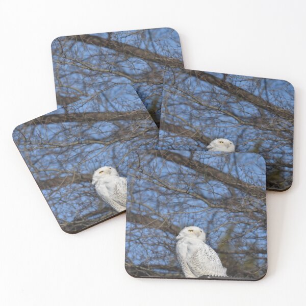 Item preview, Snowy Owl designed and sold by PennyDesignsArt.