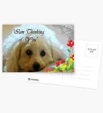 poppy Postcards
