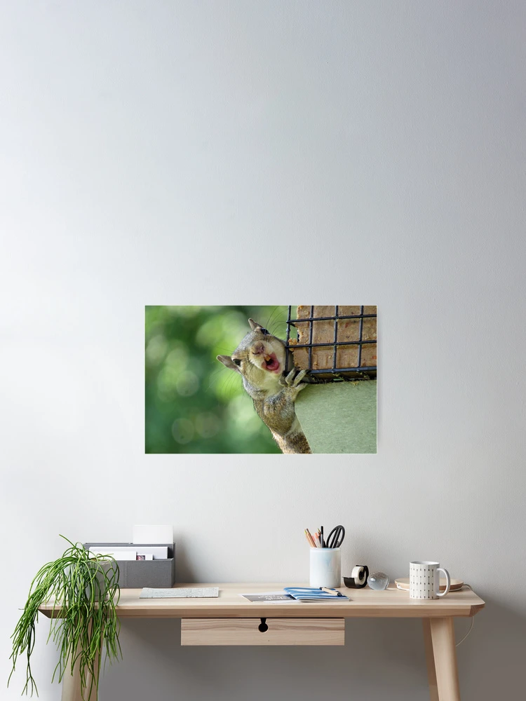 Thumbnail 2 of 3, Poster, Squirrel! designed and sold by InGFocus.