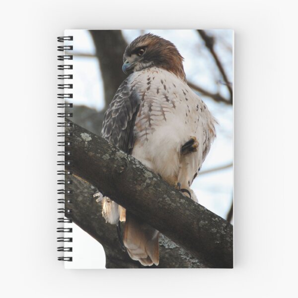 Item preview, Watchful  designed and sold by Kerri Ann McClellan.