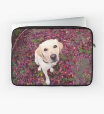 Lab in the Leaves Laptop Sleeve