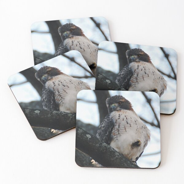 Item preview, Talons designed and sold by Kerri Ann McClellan.