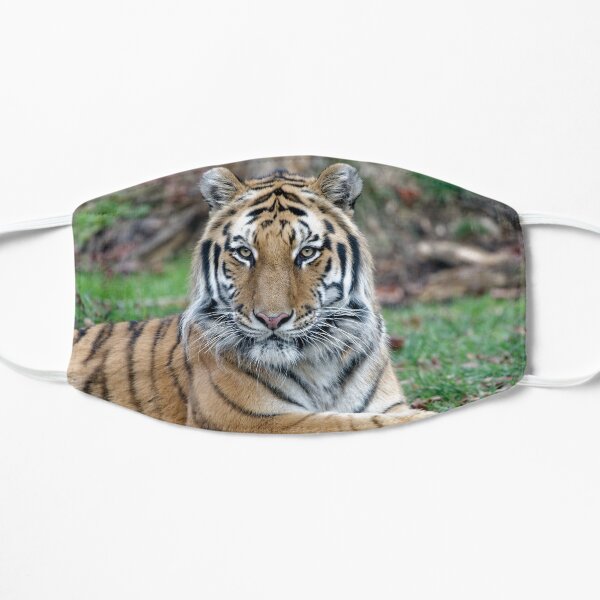 Masken Amur Tiger Redbubble