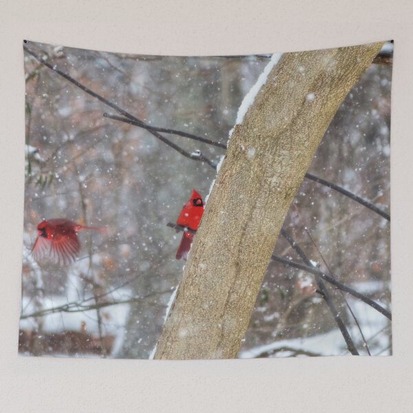 Item preview, Cardinals in the Snow designed and sold by Frankie Cat Photography.