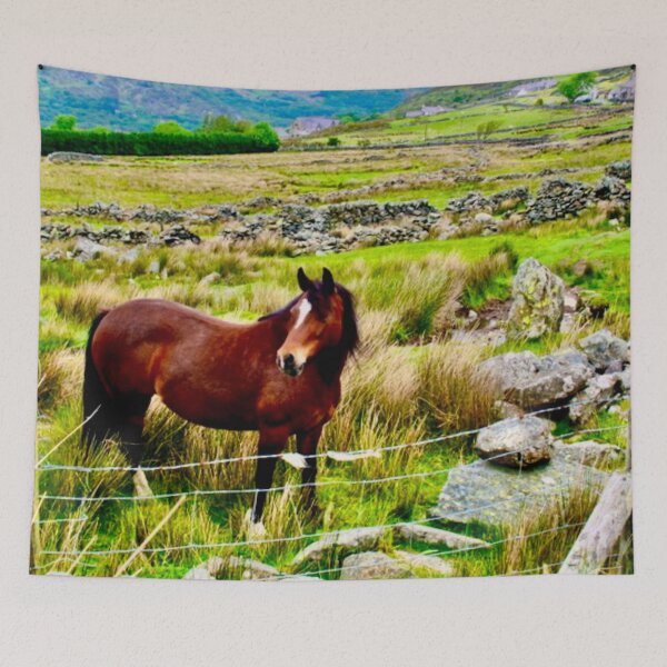 Item preview, A Horse in Snowdonia! designed and sold by Mickangelhere.