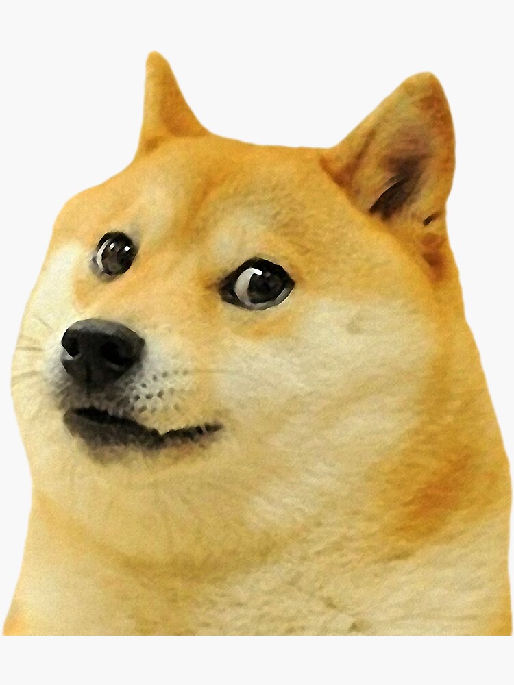 crypto doge