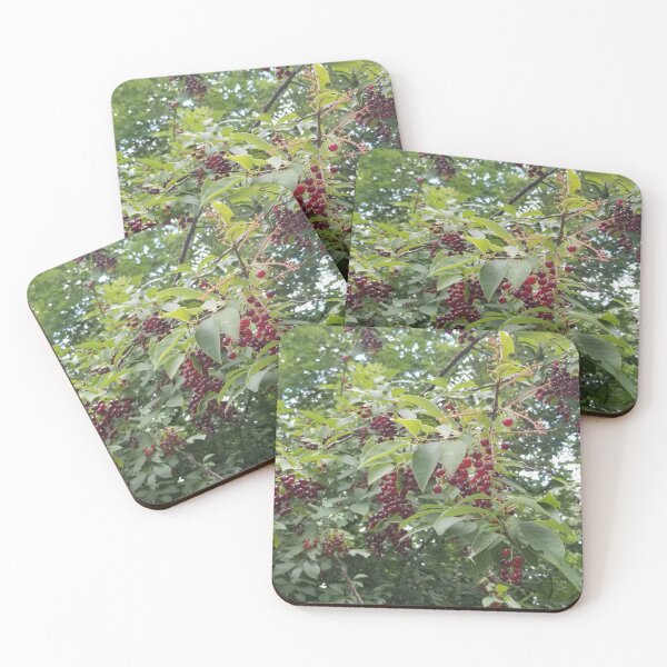 Item preview, Grapes designed and sold by gailmariekern.