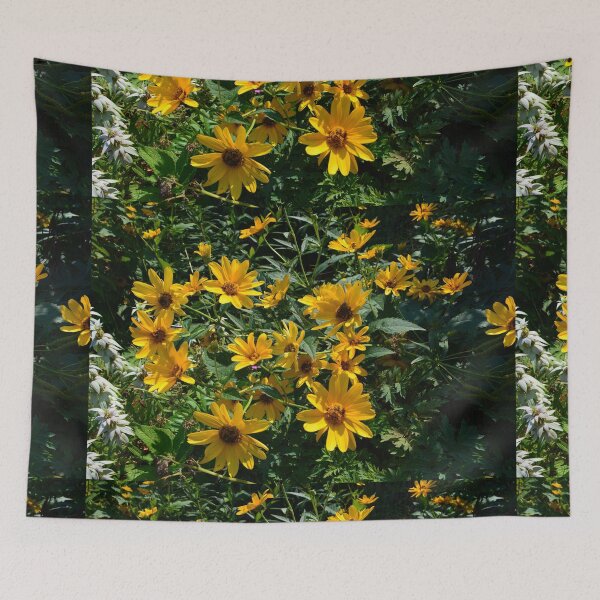 Item preview, Sunny yellow daisy flower plants photography designed and sold by naturematters.