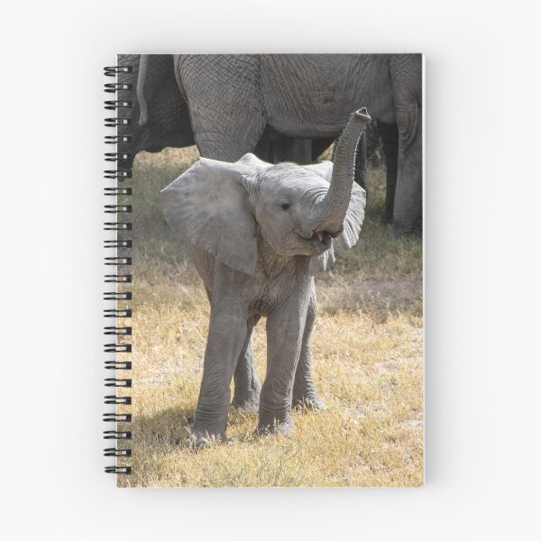 Artikelvorschau, Baby Elephant sagt Hallo - Tansania entworfen und verkauft von Andrew Goodall.