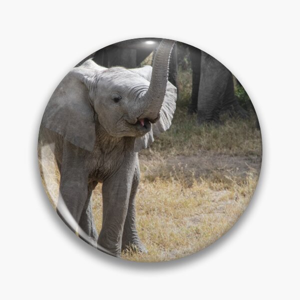 Item preview, Baby Elephant Says Hello - Tanzania designed and sold by Andrew Goodall.