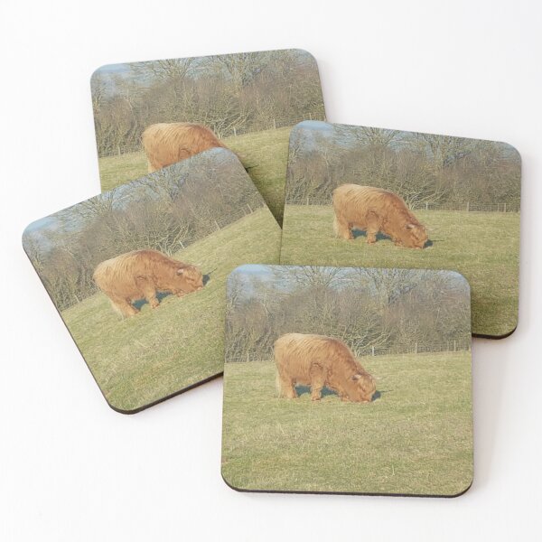 Item preview, Highland ganado pastando en un campo. designed and sold by Andrew Hopgood.