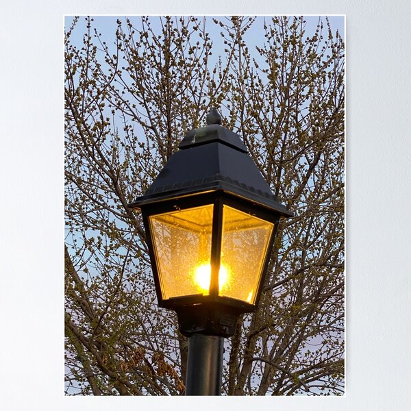 Item preview, The Lamp Post And The Tree Branches designed and sold by pinkyjainpan.