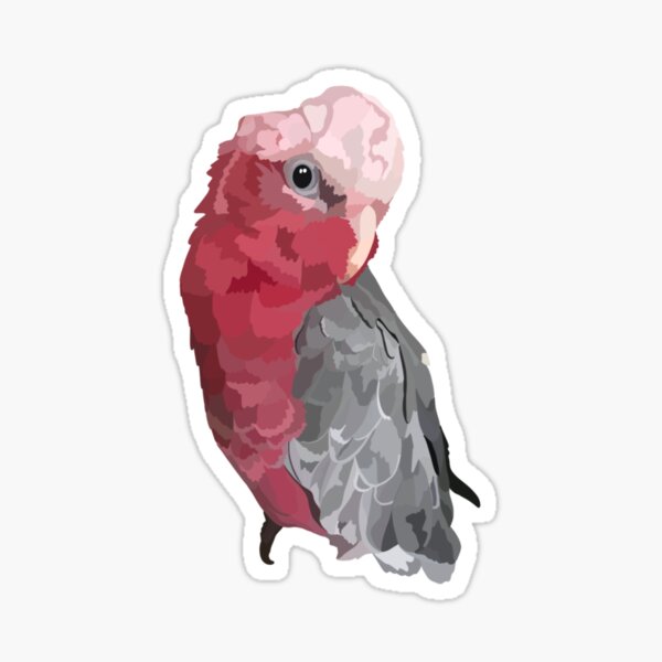 Aperçu de l'œuvre G est pour Galah Cockatoo créée et vendue par thezoogirl.