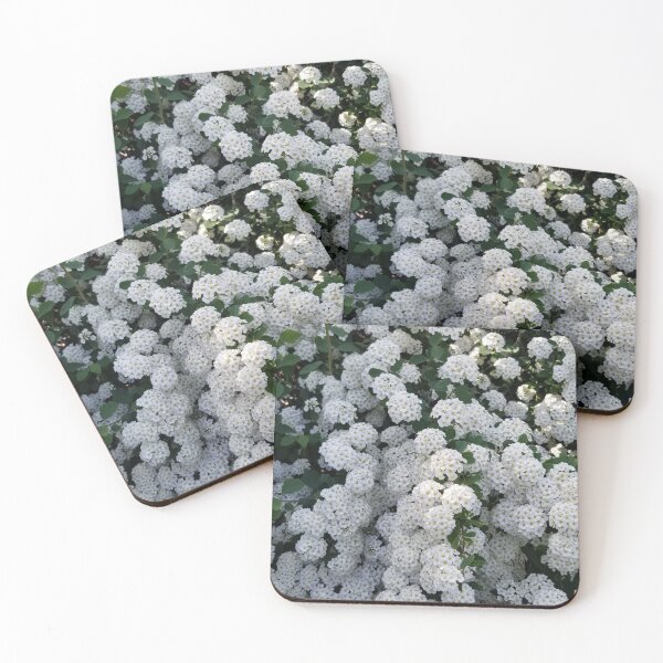 Item preview, White Flowers designed and sold by gailmariekern.