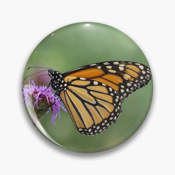 Item preview, Fall Monarch 2016-9 designed and sold by Thomasyoung.
