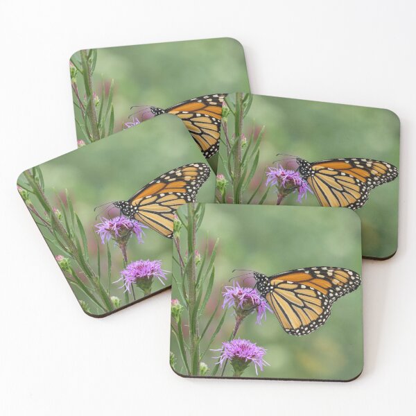 Item preview, Fall Monarch 2016-9 designed and sold by Thomasyoung.