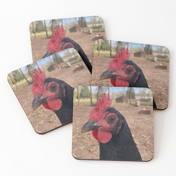 Item preview, Photo of a Chicken designed and sold by Phoenix Houle.
