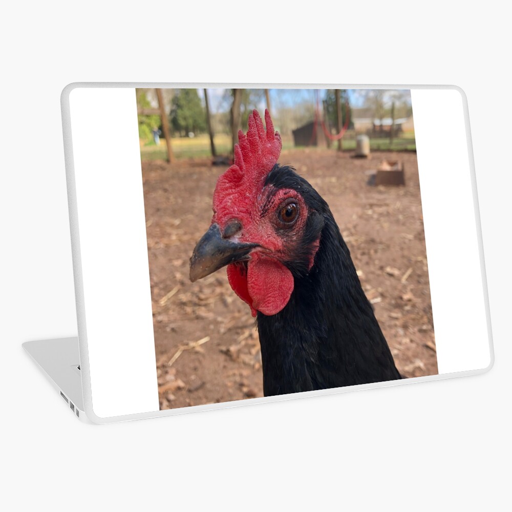 Item preview, Laptop Skin designed and sold by phoebehoule.