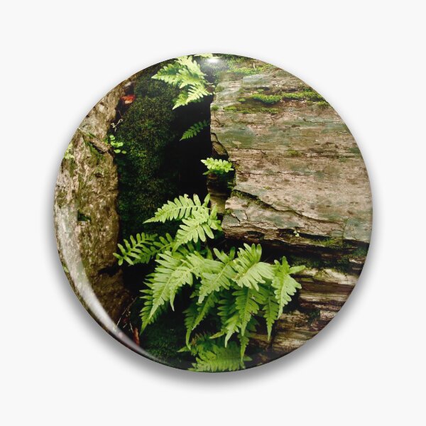 Artikelvorschau, Versteinertes Holz entworfen und verkauft von Barbara Brown.