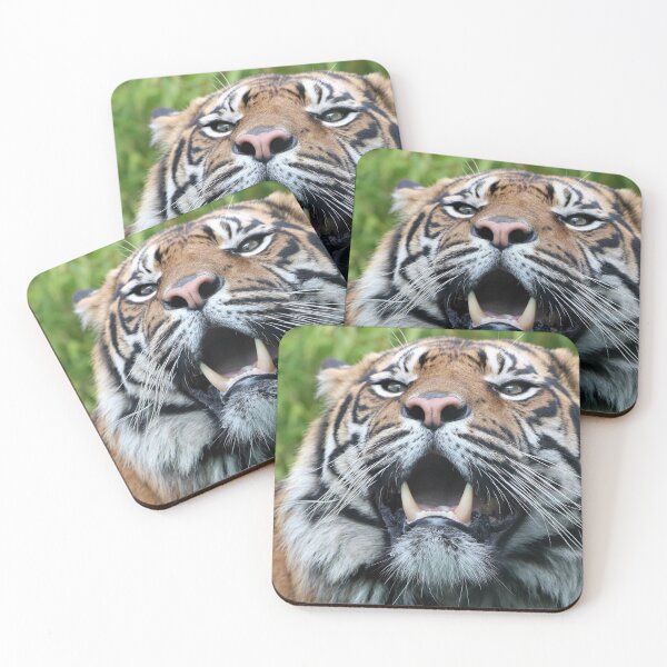 Item preview, Sumatran Tiger  designed and sold by Dorothy Thomson.