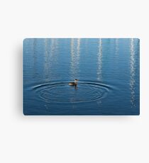 Ripples and Circles – Red-Necked Grebe Canvas Print