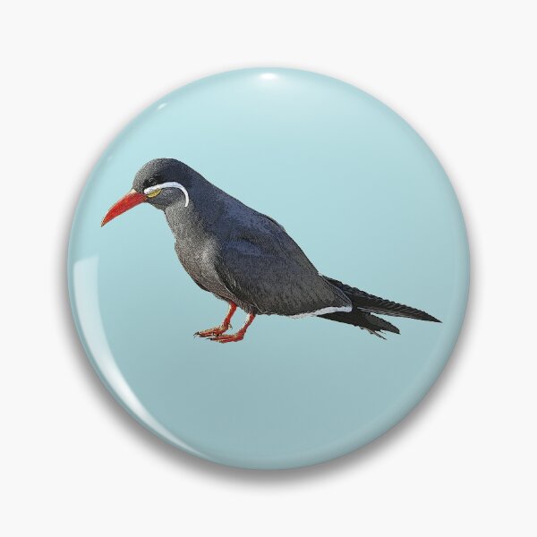 Item preview, Inca Tern Color Design designed and sold by designsasstultd.