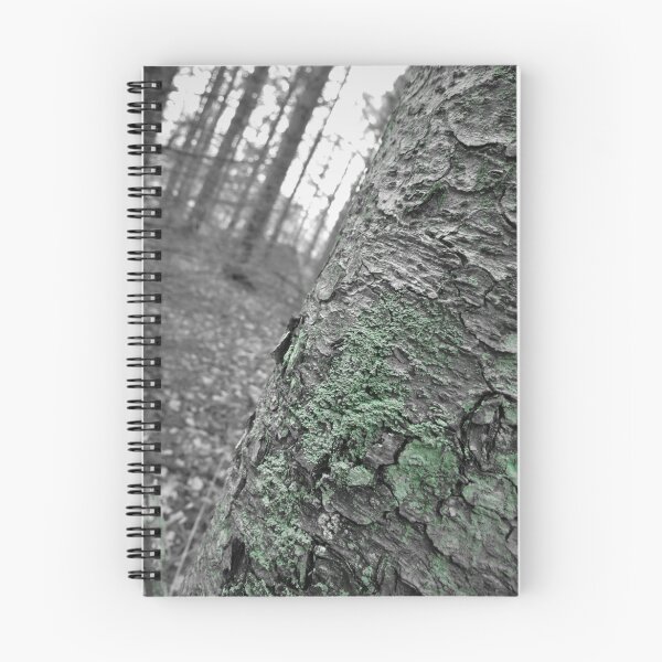 Item preview, Forest Segment designed and sold by Veronica Leigh.