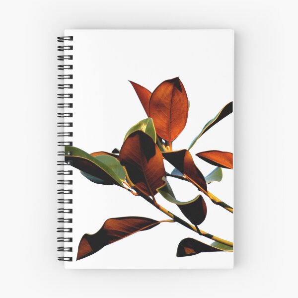 Item preview, Magnolia tree 8928 designed and sold by João Castro.