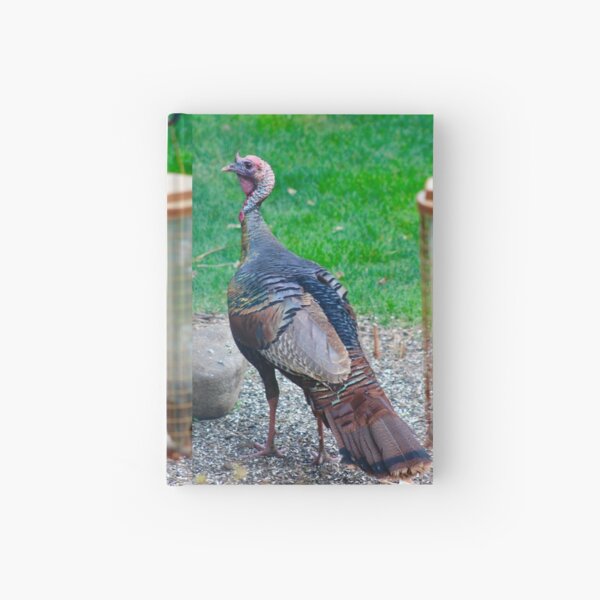 Wild Turkey Feeding Hardcover Journal