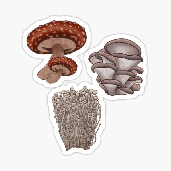 Mushroom Bundle Sticker
