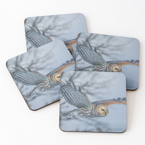 Item preview, Barred Owl in Flight designed and sold by heffordj.