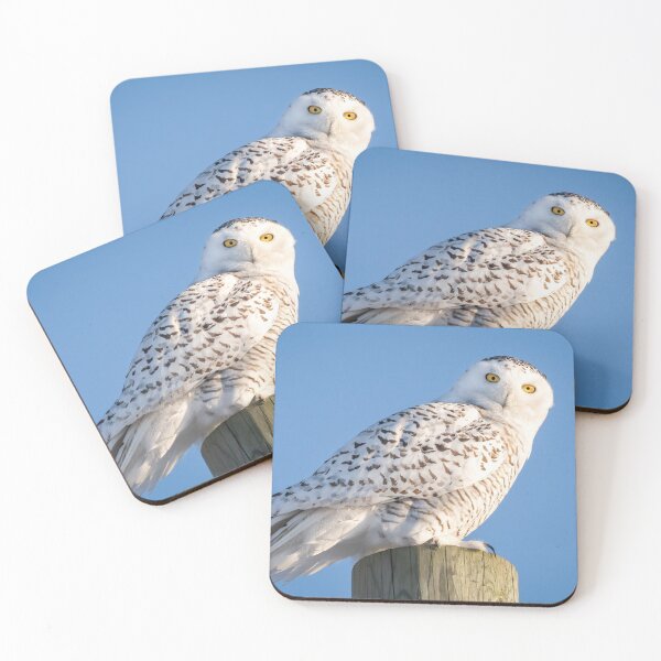 Item preview, Bright eyes and blue skies designed and sold by heffordj.